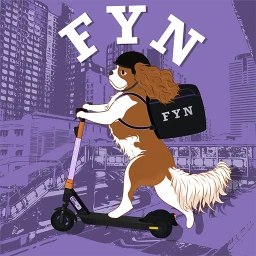 Fyn simgesi